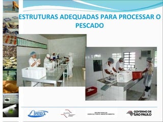 ESTRUTURAS ADEQUADAS PARA PROCESSAR O PESCADO 