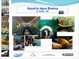 Aquário àgua Branca S. Paulo - SP 