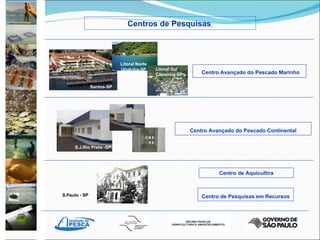 Centro de Pesquisas em Recursos Santos-SP S.J.Rio Preto -SP S.J.Rio Preto -SP S.Paulo - SP Centros de Pesquisas   Centro Avançado do Pescado Marinho Centro Avançado do Pescado Continental Centro de Aquicultira Litoral Norte Ubatuba-SP Litoral Sul Cananéia-SP 
