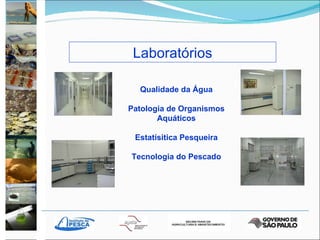 Laboratórios Qualidade da Água Patologia de Organismos Aquáticos Estatísitica Pesqueira Tecnologia do Pescado 