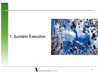 1. Sumário Executivo




                       4
 