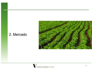 2. Mercado




             7
 