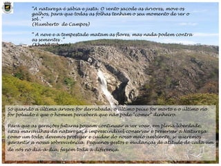 Só quando a última árvore for derrubada, o último peixe for morto e o último rio for poluído é que o homem perceberá que não pode “comer“ dinheiro. Para que as gerações futuras possam continuar a ver voar, em plena liberdade, estas maravilhas da natureza, é imprescindível conservar e preservar a Natureza como um todo, devemos proteger e cuidar do nosso meio ambiente, se queremos garantir a nossa sobrevivência. Pequenos gestos e mudanças de atitude de cada um de nós no dia-a-dia, fazem toda a diferença.   “ A natureza é sábia e justa. O vento sacode as árvores, move os galhos, para que todas as folhas tenham o seu momento de ver o sol .“ (Humberto  de Campos) “  A neve e a tempestade matam as flores, mas nada podem contra as sementes .” (Khalil Gibran) 