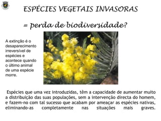   Espécies que uma vez introduzidas, têm a capacidade de aumentar muito a distribuição das suas populações, sem a intervenção directa do homem, e fazem-no com tal sucesso que acabam por ameaçar as espécies nativas, eliminando-as completamente nas situações mais graves.   ESPÉCIES VEGETAIS INVASORAS = perda de biodiversidade? A extinção é o desaparecimento irreversível de espécies e acontece quando o último animal de uma espécie morre. 