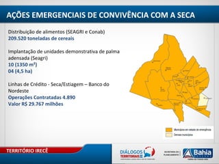 TERRITÓRIO IRECÊ
Distribuição de alimentos (SEAGRI e Conab)
209.520 toneladas de cereais
Implantação de unidades demonstrativa de palma
adensada (Seagri)
10 (1350 m²)
04 (4,5 ha)
Linhas de Crédito - Seca/Estiagem – Banco do
Nordeste
Operações Contratadas 4.890
Valor R$ 29.767 milhões
AÇÕES EMERGENCIAIS DE CONVIVÊNCIA COM A SECA
 