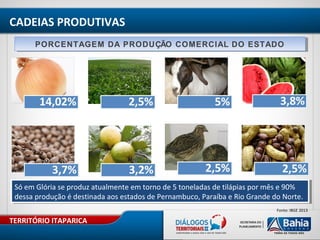 TERRITÓRIO ITAPARICA
CADEIAS PRODUTIVAS
Fonte: IBGE 2013
PORCENTAGEM DA PRODUÇÃO COMERCIAL DO ESTADOPORCENTAGEM DA PRODUÇÃO COMERCIAL DO ESTADO
Só em Glória se produz atualmente em torno de 5 toneladas de tilápias por mês e 90%
dessa produção é destinada aos estados de Pernambuco, Paraíba e Rio Grande do Norte.
Só em Glória se produz atualmente em torno de 5 toneladas de tilápias por mês e 90%
dessa produção é destinada aos estados de Pernambuco, Paraíba e Rio Grande do Norte.
 