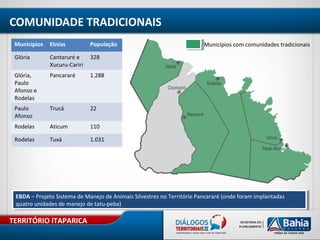 TERRITÓRIO ITAPARICA
COMUNIDADE TRADICIONAIS
Municípios Etnias População
Glória Cantaruré e
Xucuru-Cariri
328
Glória,
Paulo
Afonso e
Rodelas
Pancararé 1.288
Paulo
Afonso
Trucá 22
Rodelas Aticum 110
Rodelas Tuxá 1.031
Municípios com comunidades tradicionais
EBDA – Projeto Sistema de Manejo de Animais Silvestres no Território Pancararé (onde foram implantadas
quatro unidades de manejo de tatu-peba)
EBDA – Projeto Sistema de Manejo de Animais Silvestres no Território Pancararé (onde foram implantadas
quatro unidades de manejo de tatu-peba)
 