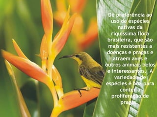 Dê preferência ao uso de espécies nativas da riquíssima flora brasileira, que são mais resistentes a doenças e pragas e atraem aves e outros animais belos e interessantes.  A variedade de espécies é boa para conter a proliferação de pragas.  