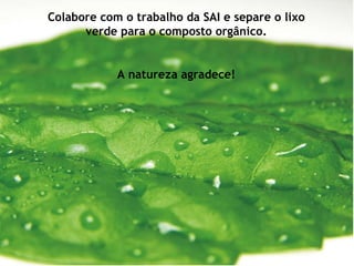 Colabore com o trabalho da SAI e separe o lixo verde para o composto orgânico. A natureza agradece! 