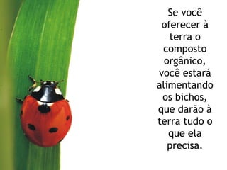 Se você oferecer à terra o composto orgânico, você estará alimentando os bichos, que darão à terra tudo o que ela precisa. 