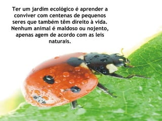 Ter um jardim ecológico é aprender a conviver com centenas de pequenos seres que também têm direito à vida. Nenhum animal é maldoso ou nojento, apenas agem de acordo com as leis naturais. 