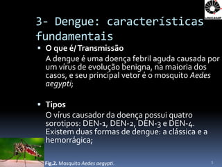 3- Dengue: características
fundamentais
 O que é/ Transmissão
  A dengue é uma doença febril aguda causada por
  um vírus de evolução benigna, na maioria dos
  casos, e seu principal vetor é o mosquito Aedes
  aegypti;

 Tipos
  O vírus causador da doença possui quatro
  sorotipos: DEN-1, DEN-2, DEN-3 e DEN-4.
  Existem duas formas de dengue: a clássica e a
  hemorrágica;

                                                  5
  Fig.2. Mosquito Aedes aegypti.
 