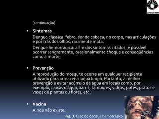 [continuação]

 Sintomas
  Dengue clássica: febre, dor de cabeça, no corpo, nas articulações
  e por trás dos olhos, raramente mata.
  Dengue hemorrágica: além dos sintomas citados, é possível
  ocorrer sangramento, ocasionalmente choque e conseqüências
  como a morte;

 Prevenção
  A reprodução do mosquito ocorre em qualquer recipiente
  utilizado para armazenar água limpa. Portanto, a melhor
  prevenção é evitar acúmulo de água em locais como, por
  exemplo, caixas d'água, barris, tambores, vidros, potes, pratos e
  vasos de plantas ou flores, etc.;

 Vacina
  Ainda não existe.
                   Fig. 3. Caso de dengue hemorrágica.           6
 