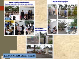 E.M. Prof. Maria Magdalena Mazzolli
 