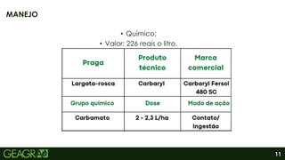 11
• Químico;
• Valor: 226 reais o litro.
MANEJO
 