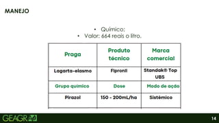 14
MANEJO
• Químico;
• Valor: 664 reais o litro.
 
