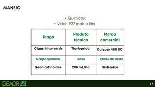 17
• Químicos;
• Valor: 927 reais o litro.
MANEJO
 