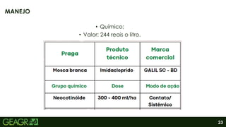 23
• Químico;
• Valor: 244 reais o litro.
MANEJO
 