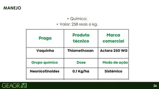 26
• Químico;
• Valor: 258 reais o kg.
MANEJO
 