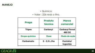 33
• Químico;
• Valor : 226 reais o litro.
MANEJO
 