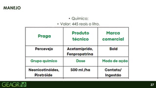 37
• Químico;
• Valor: 445 reais o litro.
MANEJO
 