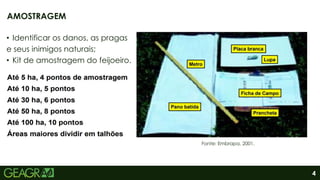 4
• Identificar os danos, as pragas
e seus inimigos naturais;
• Kit de amostragem do feijoeiro.
AMOSTRAGEM
Fonte: Embrapa, 2001.
 