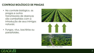 7
CONTROLE BIOLÓGICO DE PRAGAS
Fonte: João Vitor, 2022.
• No controle biológico, as
pragas e outros
transmissores de doenças
são combatidos com a
introdução de seus inimigos
naturais;
• Fungos, vírus, bactérias ou
parasitoides.
 