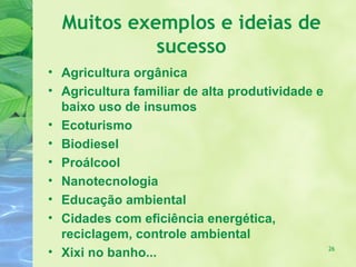 Muitos exemplos e ideias de
            sucesso
• Agricultura orgânica
• Agricultura familiar de alta produtividade e
  baixo uso de insumos
• Ecoturismo
• Biodiesel
• Proálcool
• Nanotecnologia
• Educação ambiental
• Cidades com eficiência energética,
  reciclagem, controle ambiental
• Xixi no banho...                               26
 