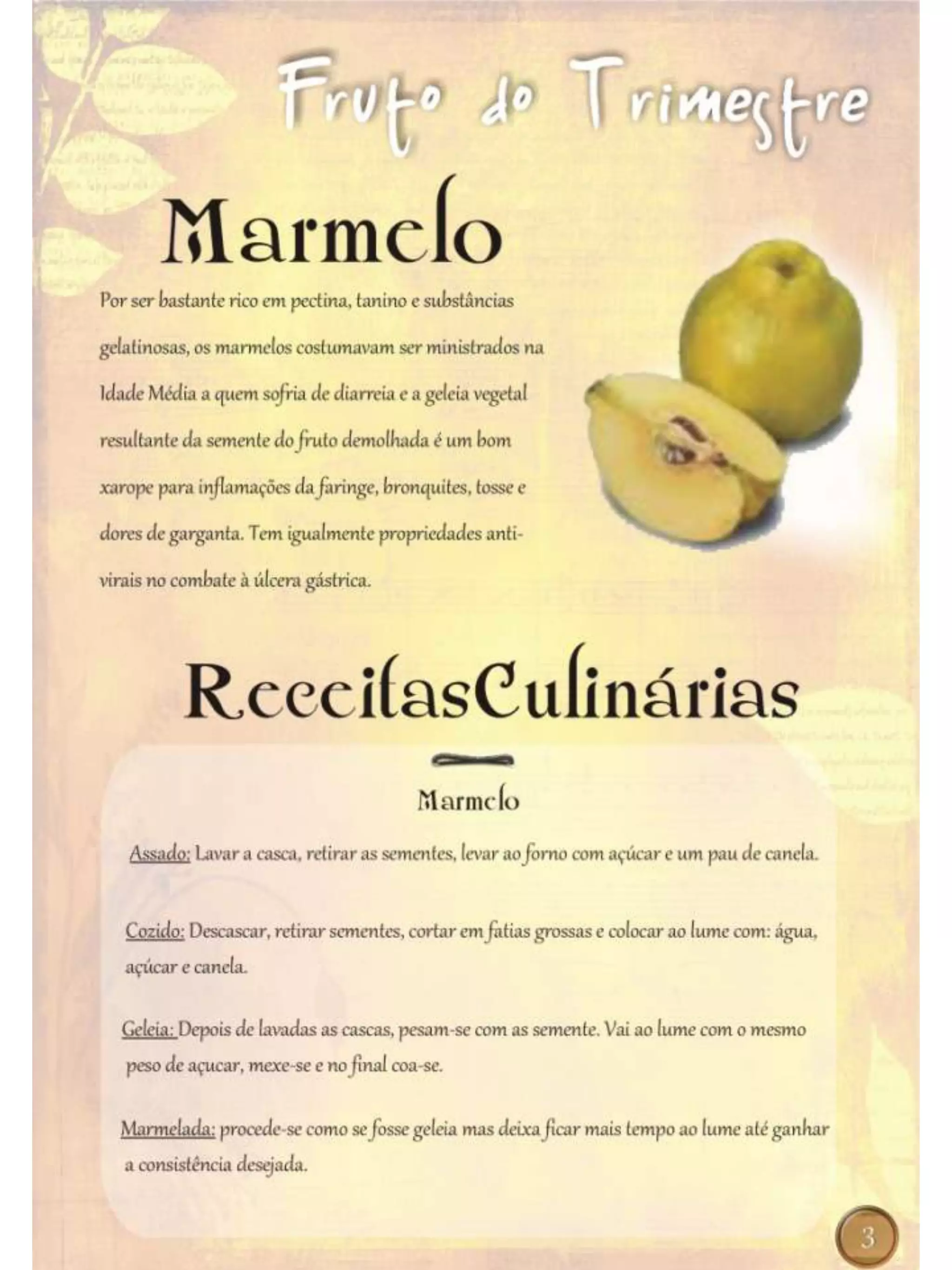 Jornal Centro de Dia - edicao_0