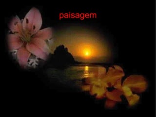 paisagem 
