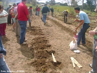 Foto: Arquivo LECERA
 