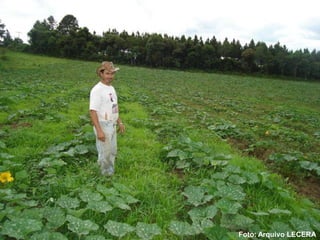 Foto: Arquivo LECERA
 