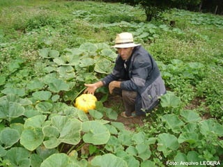 Foto: Arquivo LECERA
 
