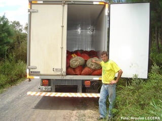 Foto: Arquivo LECERA
 