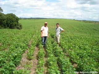 Foto: Arquivo LECERA
 
