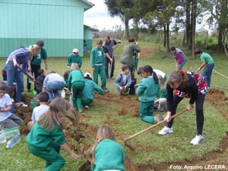 Foto: Arquivo LECERA
 