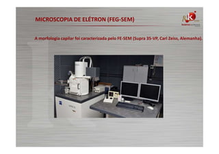MICROSCOPIA DE ELÉTRON (FEG-SEM)
A morfologia capilar foi caracterizada pelo FE-SEM (Supra 35-VP, Carl Zeiss, Alemanha).

 