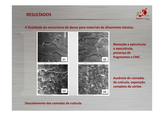 RESULTADOS
A finalidade do mecanismo de danos para materiais de alisamento clássico.

Remoção a epicutícula
e exocutícula,
presença de
fragmentos e CMC.

Ausência de camadas
de cutícula, exposição
completa do córtex.

Descolamento das camadas de cutícula

 