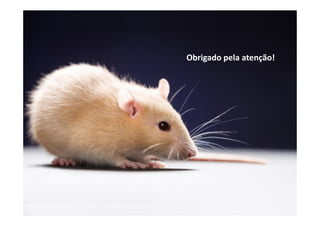 Obrigado pela atenção!
 