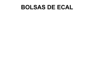 BOLSAS DE ECAL
 