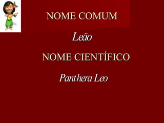NOME COMUM Leão NOME CIENTÍFICO Panthera Leo 
