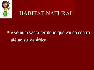 HABITAT NATURAL Vive num vasto território que vai do centro até ao sul de África. 