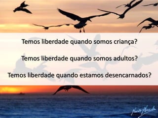Temos liberdade quando somos criança?
Temos liberdade quando somos adultos?
Temos liberdade quando estamos desencarnados?

 