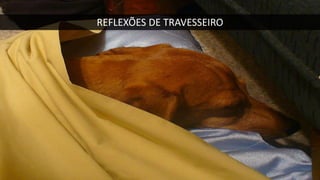 REFLEXÕES DE TRAVESSEIRO
 