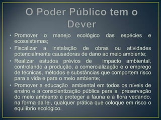 • Promover o manejo ecológico das espécies e
ecossistemas;
• Fiscalizar a instalação de obras ou atividades
potencialmente causadoras de dano ao meio ambiente;
• Realizar estudos prévios de impacto ambiental,
controlando a produção, a comercialização e o emprego
de técnicas, métodos e substâncias que comportem risco
para a vida e para o meio ambiente;
• Promover a educação ambiental em todos os níveis de
ensino e a conscientização pública para a preservação
do meio ambiente e proteger a fauna e a flora vedando,
na forma da lei, qualquer prática que coloque em risco o
equilíbrio ecológico.
 