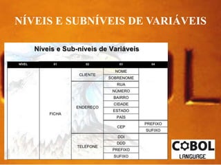 NÍVEIS E SUBNÍVEIS DE VARIÁVEIS 
 