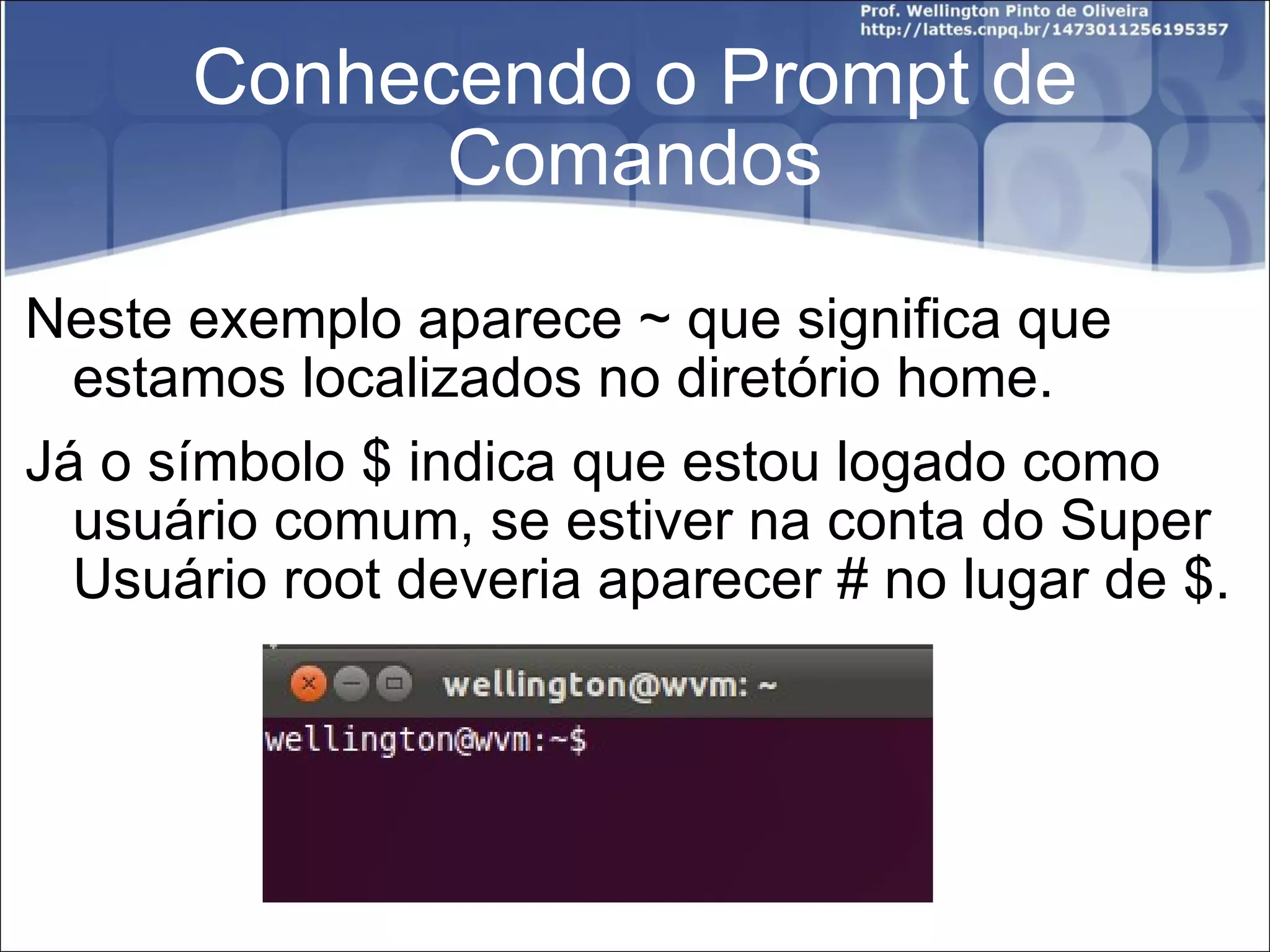Conhecendo o Prompt de Comandos Neste exemplo aparece ~ que significa que estamos localizados no diretório home. Já o símbolo $ indica que estou logado como usuário comum, se estiver na conta do Super Usuário root deveria aparecer # no lugar de $. 