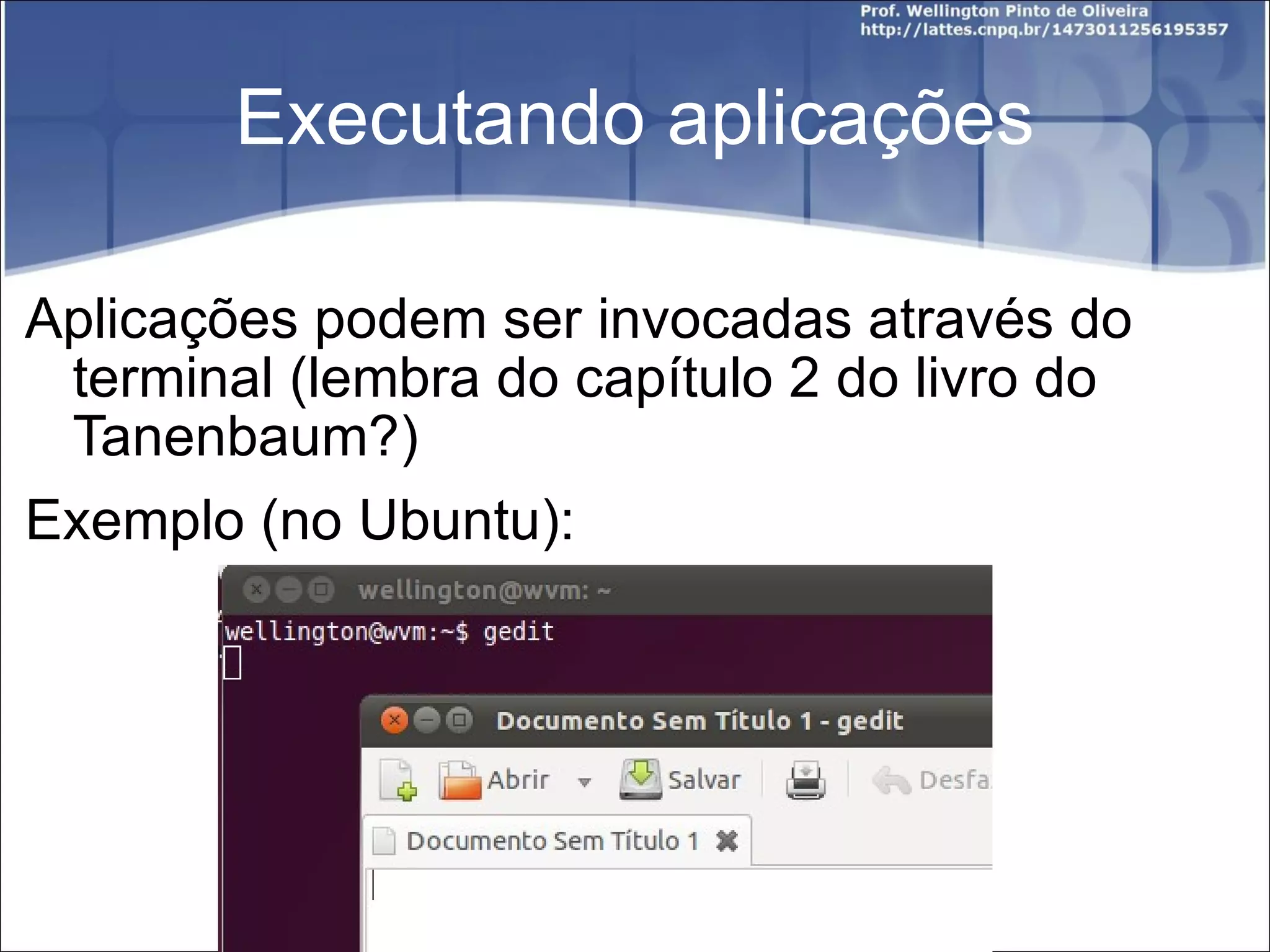 Executando aplicações Aplicações podem ser invocadas através do terminal (lembra do capítulo 2 do livro do Tanenbaum?) Exemplo (no Ubuntu): 