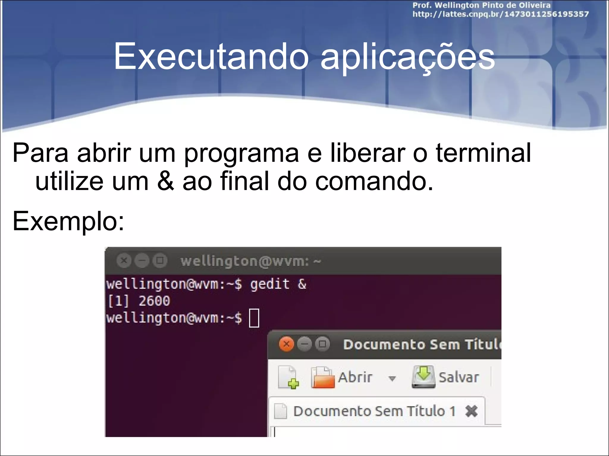 Executando aplicações Para abrir um programa e liberar o terminal utilize um & ao final do comando. Exemplo: 