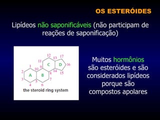 Lipídeos  não saponificáveis  (não participam de reações de saponificação) OS ESTERÓIDES Muitos  hormônios  são esteróides e são considerados lipídeos porque são compostos apolares 